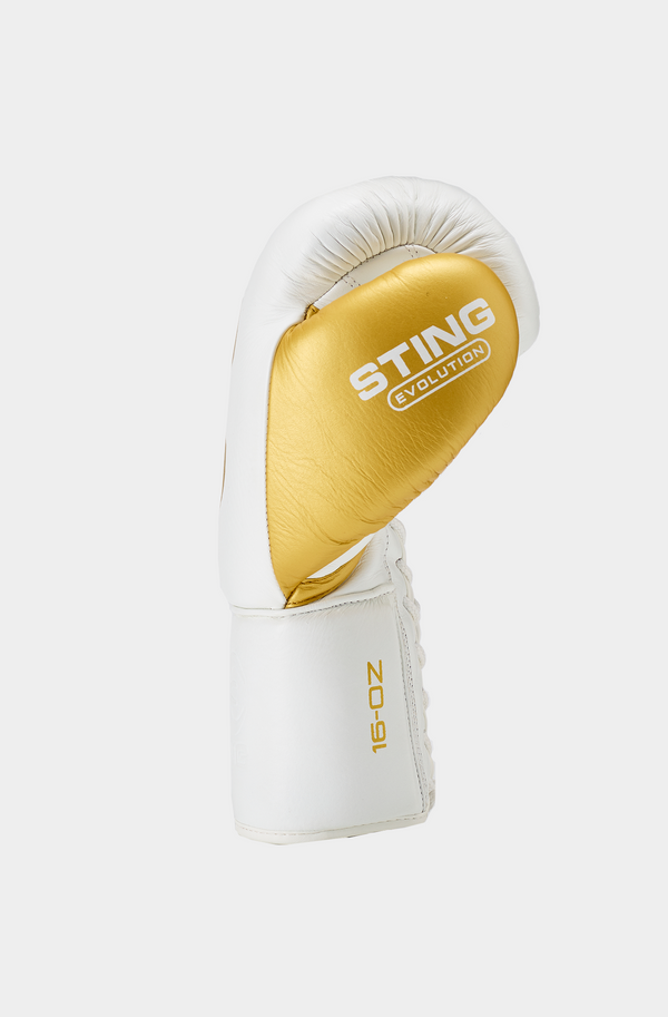 Evolution Lace Up Boxing Gloves